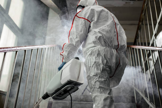 Best Mold Prevention Services  in Eureka Springs, AR